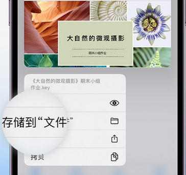 喀左apple维修中心分享iPhone文件应用中存储和找到下载文件