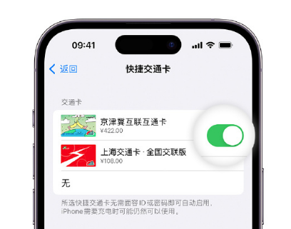 喀左apple维修点分享iPhone上更换Apple Pay快捷交通卡手绘卡面 