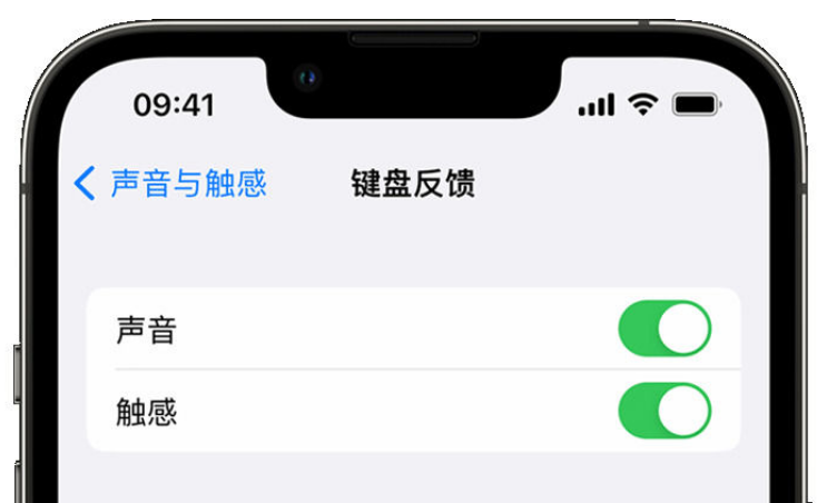 喀左苹果手机维修分享iPhone 14触感键盘使用方法 