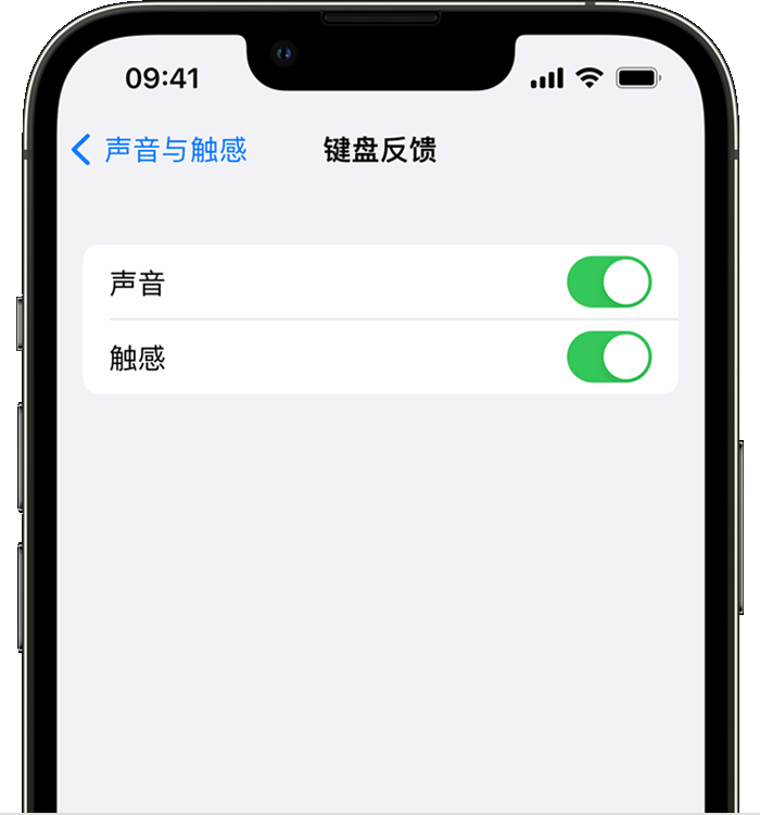 喀左苹果14维修店分享如何在 iPhone 14 机型中使用触感键盘 