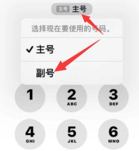 喀左苹果14维修店分享iPhone 14 Pro Max使用副卡打电话的方法 