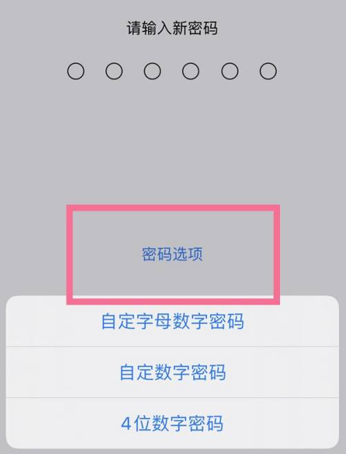 喀左苹果14维修分享iPhone 14plus设置密码的方法 