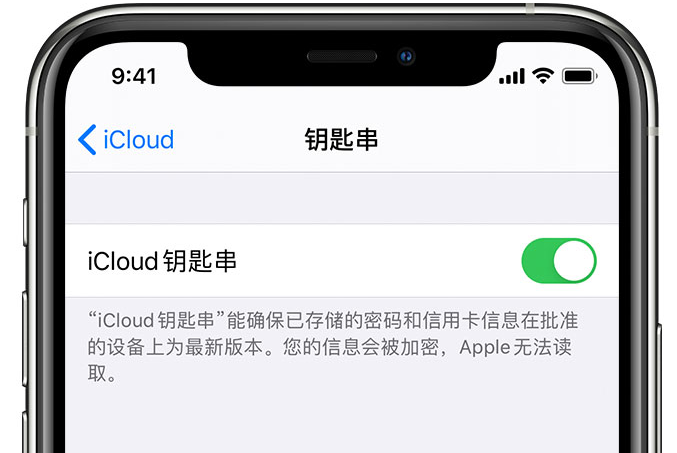 喀左苹果手机维修分享在 iPhone 上开启 iCloud 钥匙串之后会储存哪些信息 