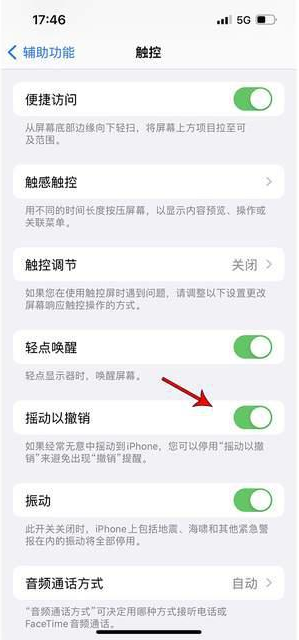 喀左苹果手机维修分享iPhone手机如何设置摇一摇删除文字 