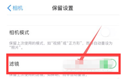 喀左苹果13维修分享iPhone13拍照有绿点是怎么回事 