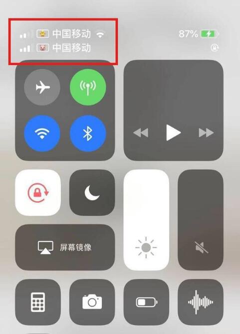 喀左苹果手机维修分享为 iPhone 12 双卡设置标签 